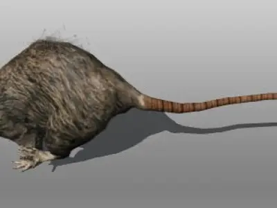 Rat animal Low-poly 3D model