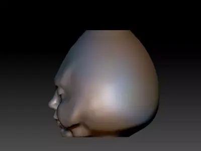 face-vase 2 human head 3D print model