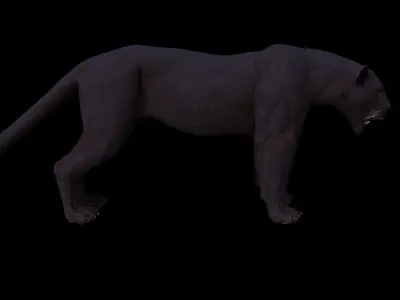 Black panther 3D model