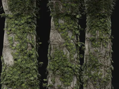 Greek Column Ivy 3D model