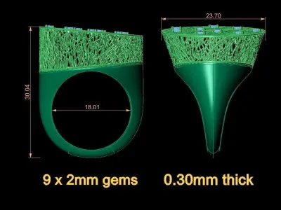 Fusion Ring  3D print model