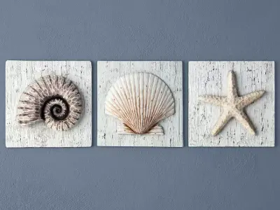 Nautilus Seashell and Starfish Plaques 3D model