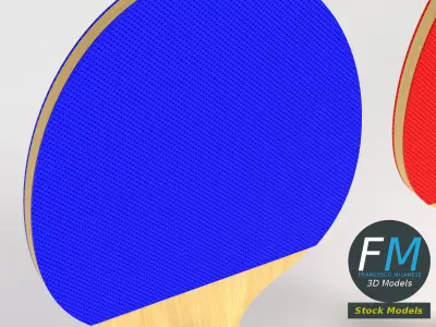 Ping pong paddles set 3D model