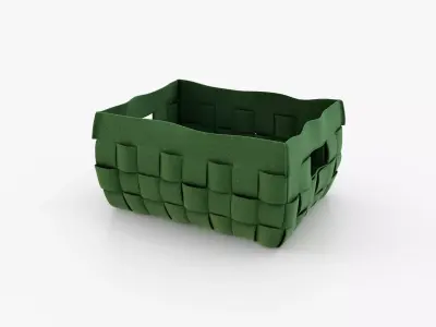 Polyester Basket Green 3D model
