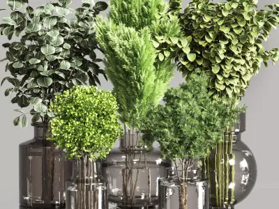 Collection Plants Bouquet Indoor 01 3D model