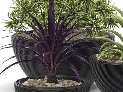 plants set 2 group of pots 3D model
