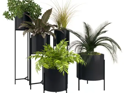 plants 05 3D model