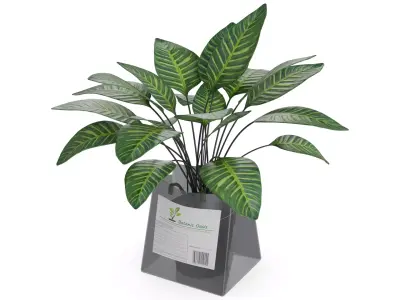 Home decorations Artificial Plant Low-poly 3D model purchase