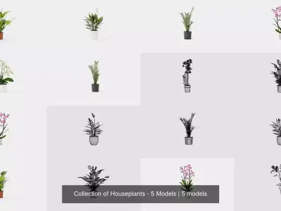 Collection of Houseplants - 5 Models