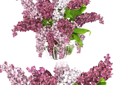 lilac bouquet 3D model