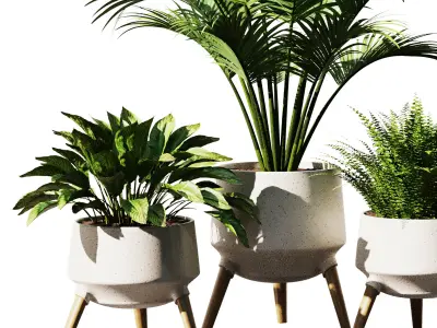 Indoor Plant Set V37 3D model