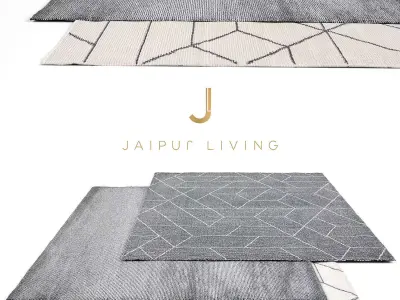 Jaipur Living Rug Set 9 3D model