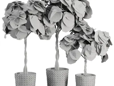 Indoor Plant SetV24 - Guiana Chestnut 3D model