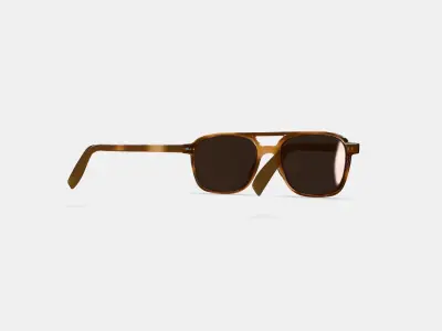 Brimmer Sunglasses in Black Walnut 3D model