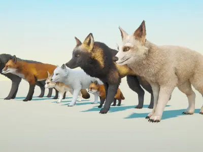 Realistic Foxes Low-poly 3D model