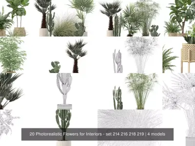 20 Photorealistic Flowers for Interiors - set 214 216 218 219 3D Model Collection