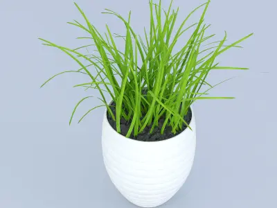 Flower Grass Pot 3D model