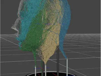 Art Decoration Maze of thoughts Daz 3D model