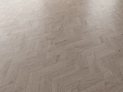 Parquet Oak Nordic NEW WWL set 5 3D model