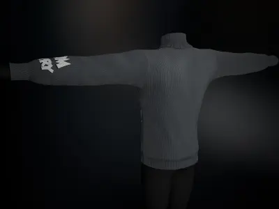 Grey Tom Turtleneck Low-poly 3D model