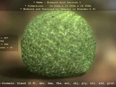 Low-Poly Boxwood Bush Version 1 Low-poly 3D model