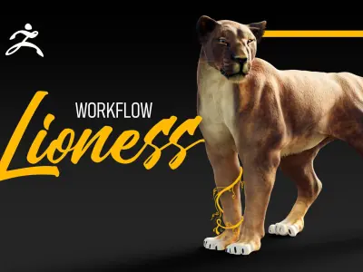 Lioness - 3D Model 3D model