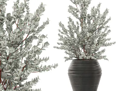 Eucalyptus bush in a flowerpot for interior design 535 3D model