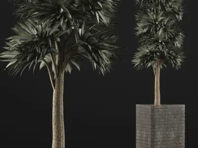 Plants Collection 113 3D model