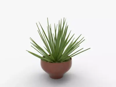Aloe vera plant in Terra Cotta Planter 3D model