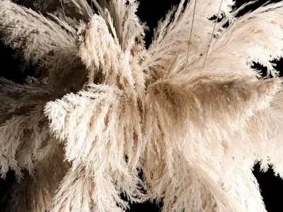 Hanging Bouquet Of Dry Reeds For Decoration 271 3D model