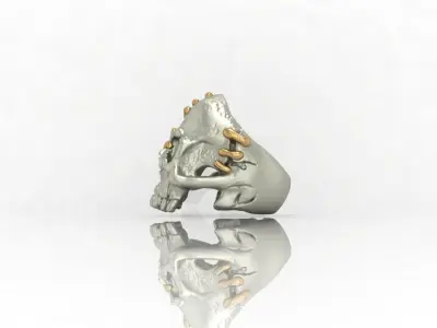 Ring sewn Skull 3D print model