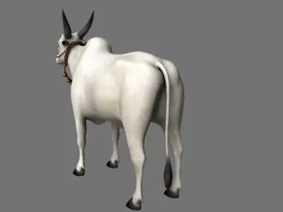 bull 3d model 3D model purchase