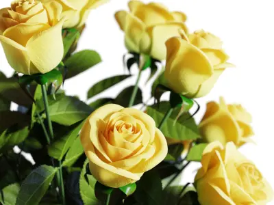 Flower Set 05 - Yellow Roses Bouquet 3D model