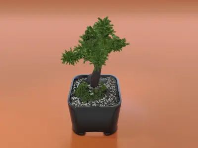 Bonsai tree in pot Free 3D model