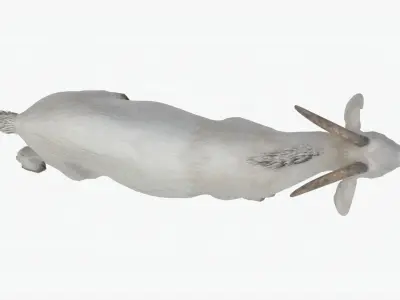 Lowpoly Goat Low-poly 3D model