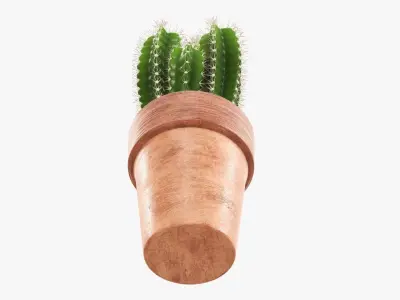 Cactus in planter pot 01 3D model