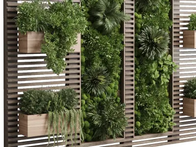 plants set partition in wooden frame - Vertical moss graden 3D model