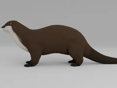 Otter HD 3D model