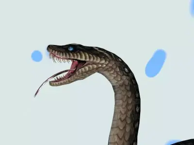 SNAKE 3D model