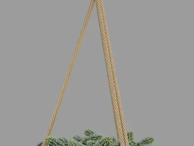 Burros tail succulent and Hanging ceramic planter 3D model