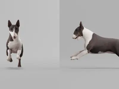 Bull Terrier  Game Ready 3D model