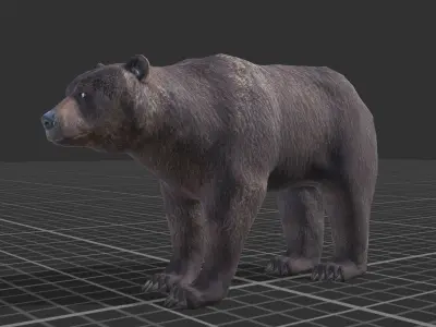 Bear Female 1 Low-poly 3D model