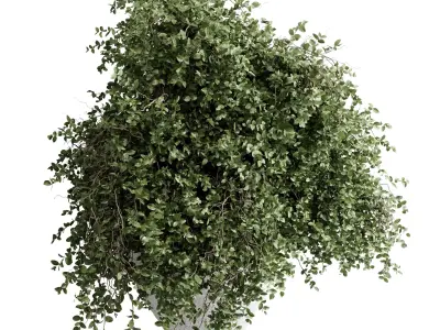 branches in a vase Bouquet 56 3D model