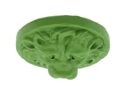 Lion Head 01 - 3D Printable  3D print model