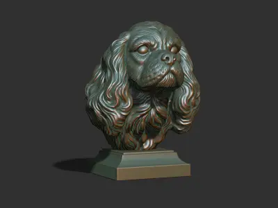 Spaniel Cavalier King Charles bust 3D print model