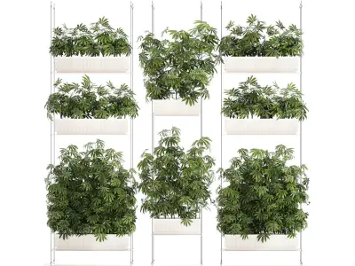 Garden plantation Bushes Hemp Marijuana Cannabis 1428 3D model