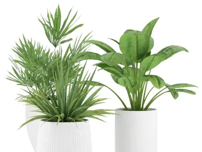 Plant-Set-001 plant in pot Free 3D model