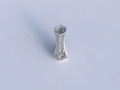 Vase larger opening hexagon with fine organic lattice 3D print model