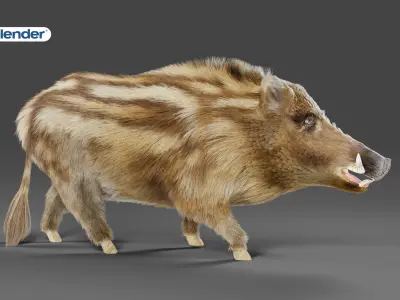 Fur Wild Boar V03 Rigged  Low-poly 3D model