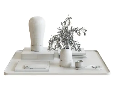 Decorative set shuba 3D model